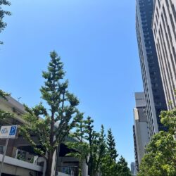 日が長くなる季節の愉しみ