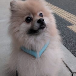 熱中症対策